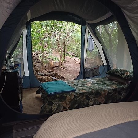 Adorable Unique Guest House - African Bush Feel Kalkheuvel Luaran gambar