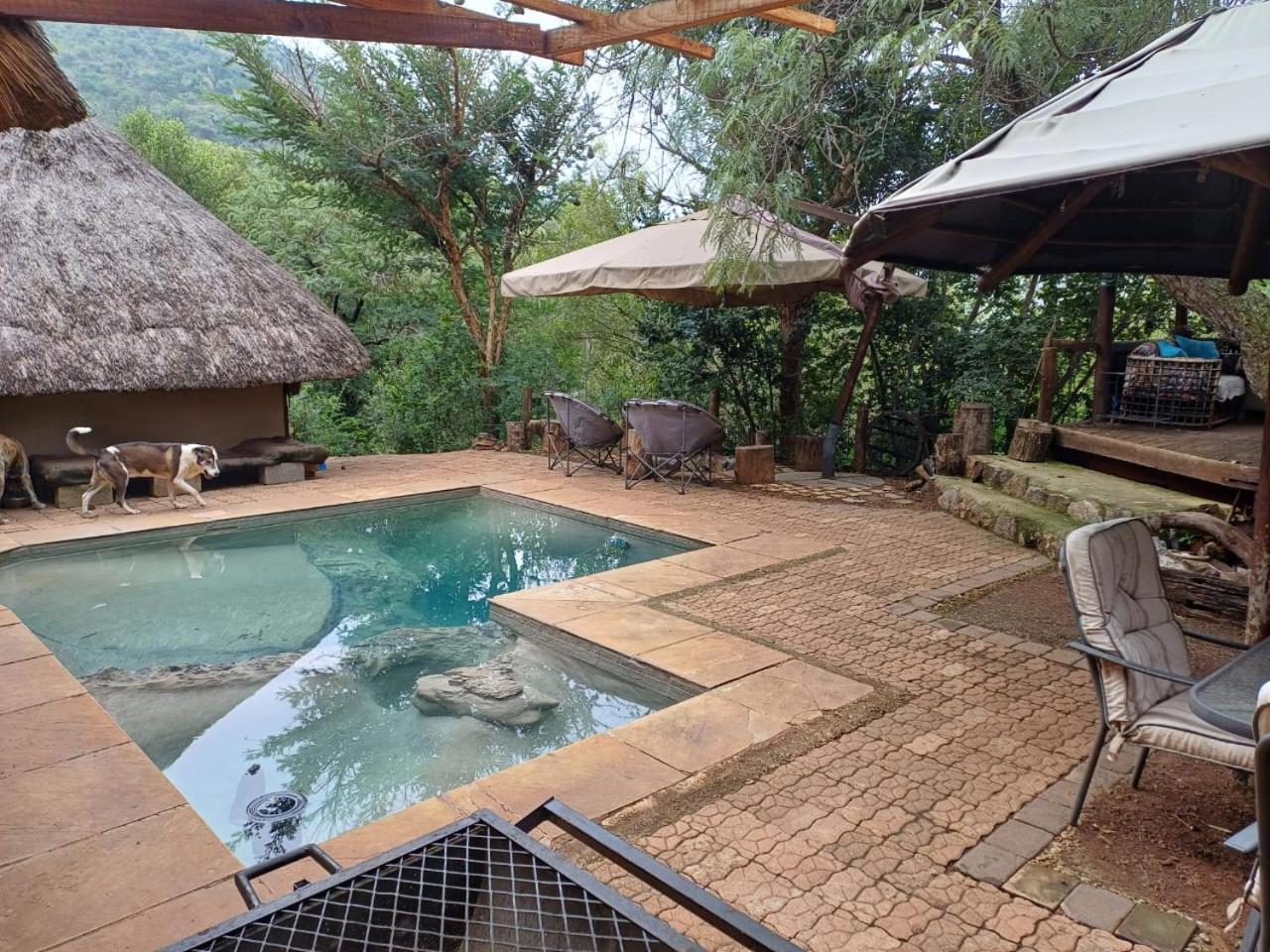 Adorable Unique Guest House - African Bush Feel Kalkheuvel Luaran gambar