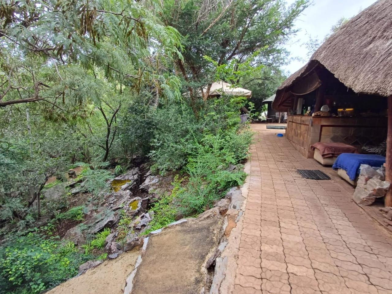 Adorable Unique Guest House - African Bush Feel Kalkheuvel Luaran gambar